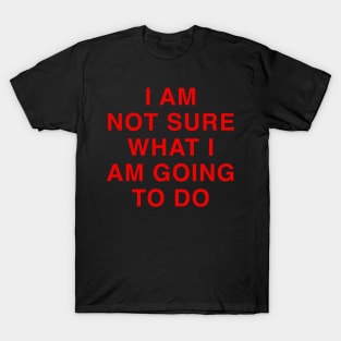 I AM NOT SURE WHAT I AM DOING T-Shirt